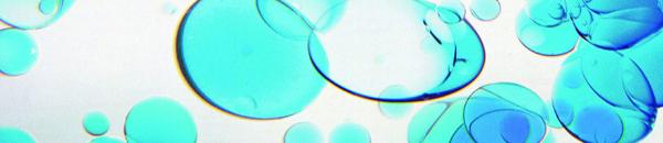 Exhibition Booth Rental Hong Kong